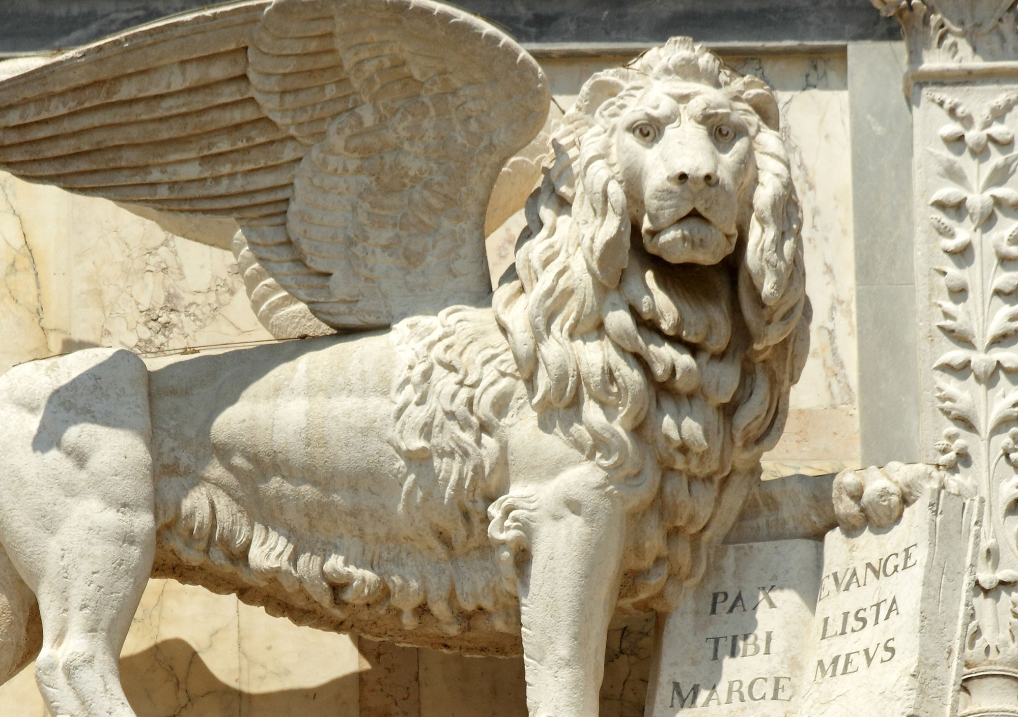 венецианский лев фото