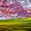 scunliffe