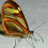 esprit2fly
