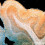 cerebellum