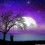 moonlightmaiden
