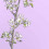 tenderblossoms