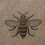 Flybethy