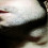noor85