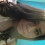marydoan90