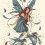 FairyDust