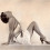Daisy1925