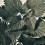Nettle