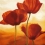 orangepoppy