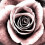 Jayla_Kent