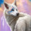 damewolf13