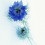 blushingblueserenity
