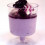 sophia loren