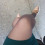 Latice