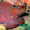 ColubineCola