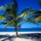 tropic