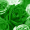 greengrl