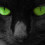 vhelsing