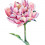 flowersandcandy