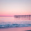 pinksea