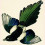 magpiemagpie