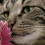 kelly_xatz
