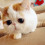 MiaStar