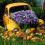 Evolet22