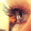 charmedbytheblue