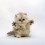 Sweetiekitty