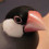 Java Sparrow