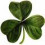 PennyClover