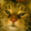 >^..^< kittylove >^..^<