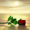 DesertRose88