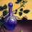 meriel5240