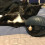 smellysmellycat