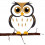 Wise Owl
