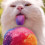 sniff