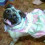 kittypug582