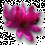 wildorchid13