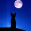 moonlight