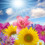 smell of summer