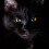 snowshoe