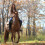 Mashulya_0993