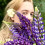 Marilla