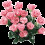 Yuliya_0503