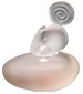 perfume Songe Pour Elle