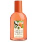 Yves Rocher Les Plaisirs Nature Bergeron Apricot