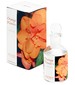 Monotheme Fine Fragrances Venezia Orange Flowers