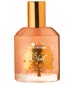 Yves Rocher Fruit de Noel 2011